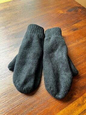 Aritzia Auxiliary Fleece Lined Knit Mittens Black NWT